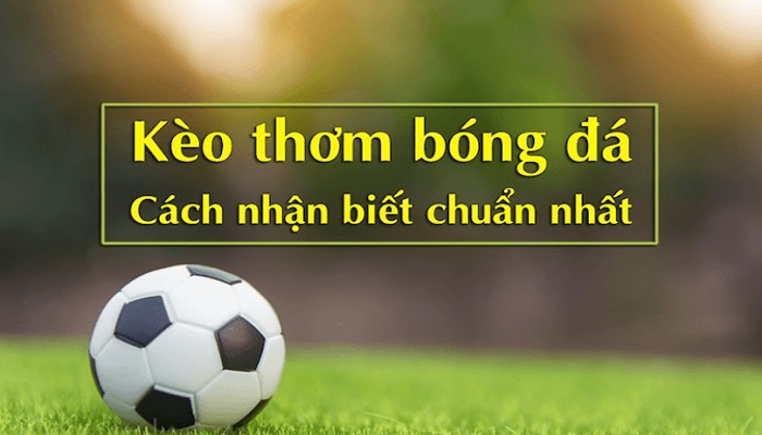 cach chon keo thom trong ca cuoc bong da 67b496585cf0d