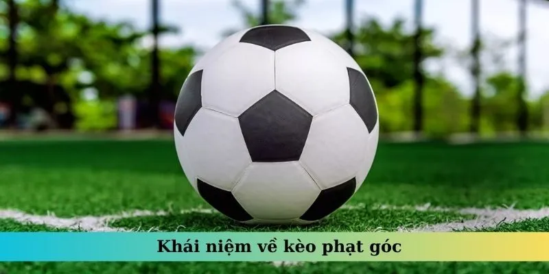 Kèo Phạt Góc - Bí Quyết Soi Kèo Bách Chiến Bách Thắng?