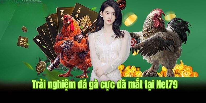 Net79 - Nền Tảng Cá Cược Có Lịch Sử Lâu Năm Và Uy Tín