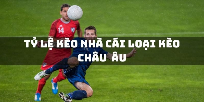 Tỷ Lệ Cá Cược Bóng Đá: Hướng Dẫn Chi Tiết Cho Người Mới Bắt Đầu